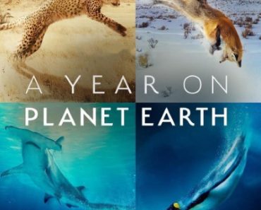 Download A Year on Planet Earth (Season 1) English Web Series 720p | 1080p WEB-DL Esub